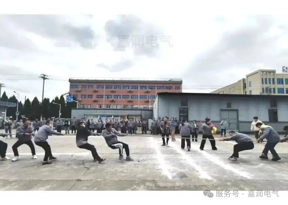 81.jpg